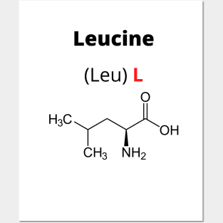 Amino acid Leucine Posters and Art